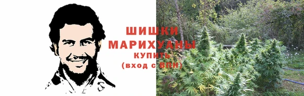 шишки Алексеевка
