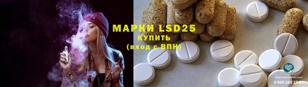хмурый Алзамай