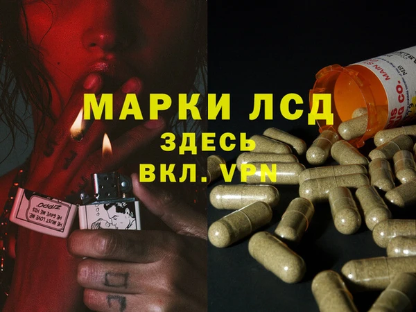 хмурый Алзамай