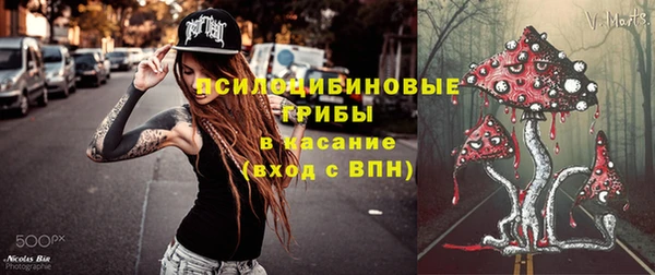 спиды Арсеньев