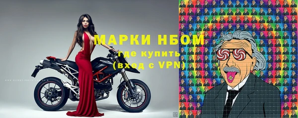 хмурый Алзамай