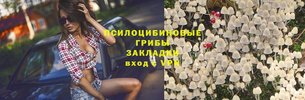 героин Алексин