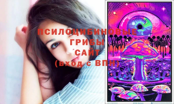шишки Алексеевка
