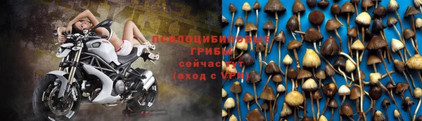 шишки Алексеевка